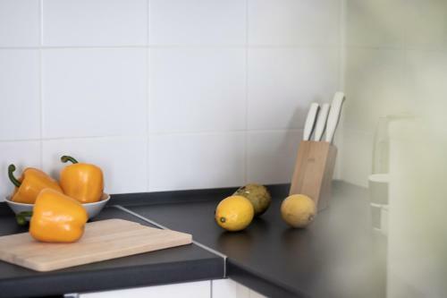 Apartamenty Kdn Na Rysiej