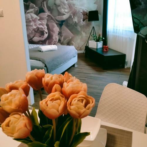 Apartamento Parkcity Katowice