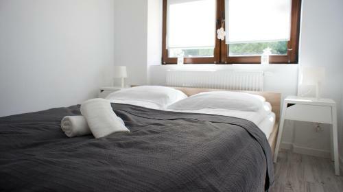 Apartamenty Karkonoskie