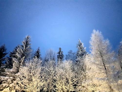 Apartamento Willa G�ralka