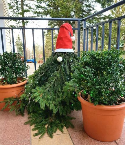 Apartamento Willa G�ralka