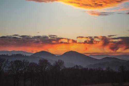 Apartament Kameralny