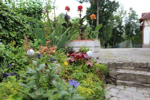 Apartament Kameralny