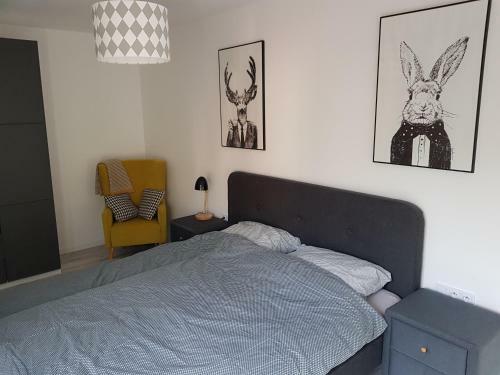Apartament Z Widokiem