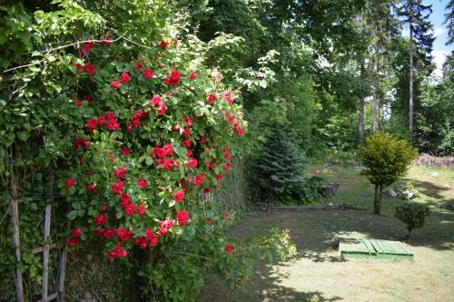 Apartamento Willa Zacisze Karpacz