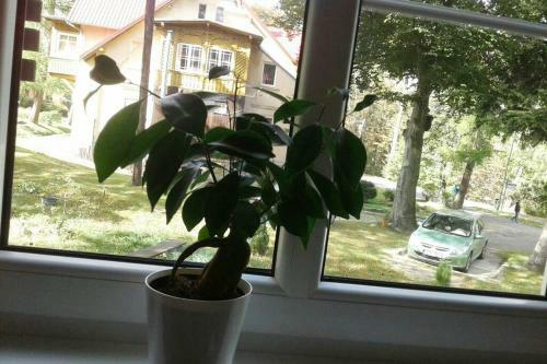 Apartamento Karpacz Skalny