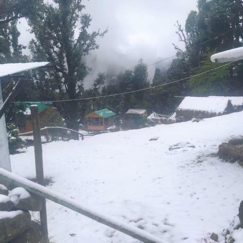 Himalayan Hippy