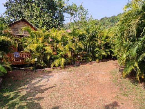 Hotel Saxony Garden Resort
