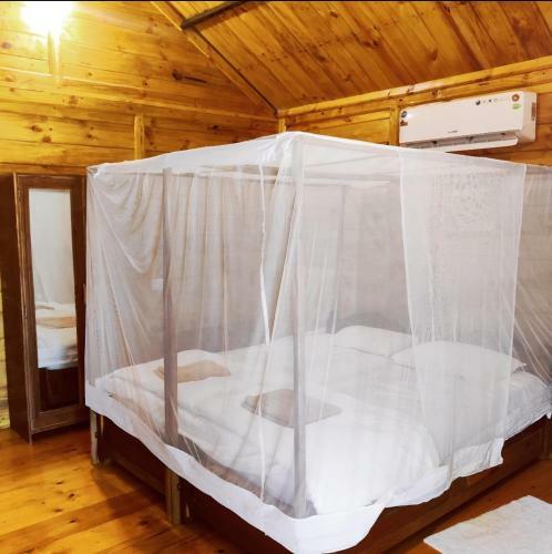 Hotel Saxony Garden Resort