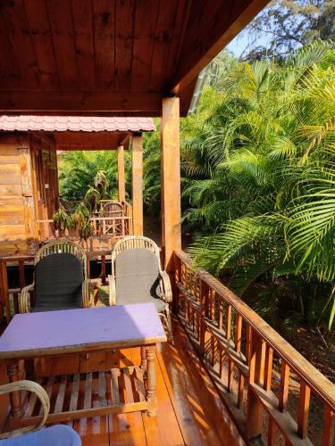 Hotel Saxony Garden Resort