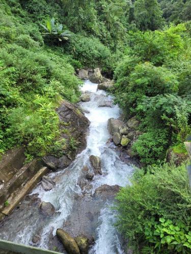 Goomtee Tea Estate And Retreat