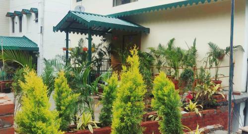 Fairview Villa Kasauli Barbecue Wifi