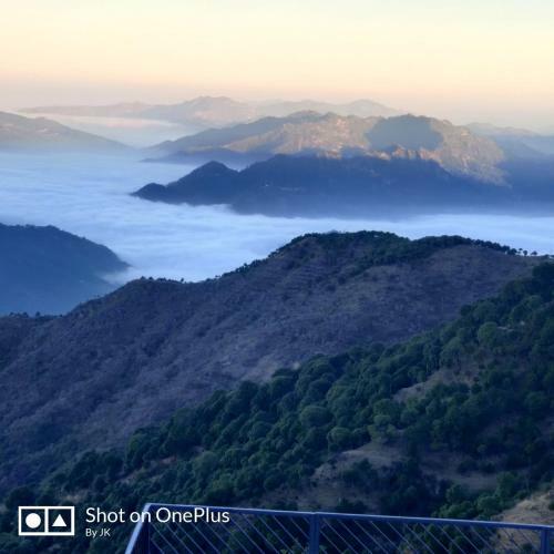Samarth Kasauli Hills