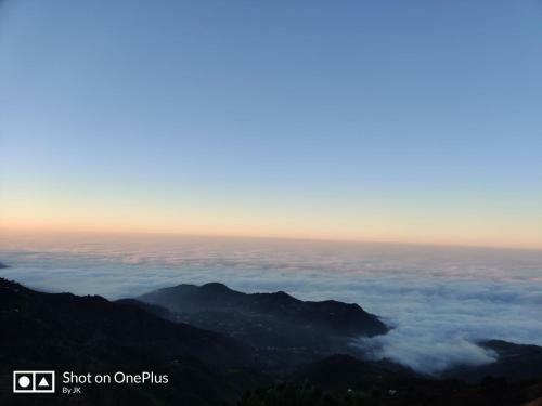 Samarth Kasauli Hills
