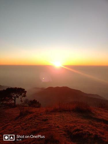 Samarth Kasauli Hills