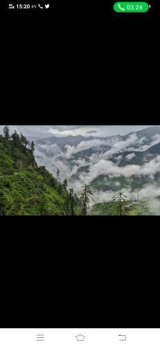Apartamento The Pine Trails Kasauli