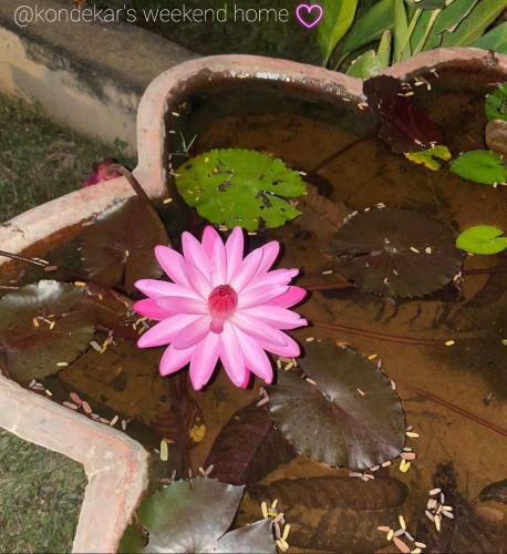 Kondekar's Weekend Home