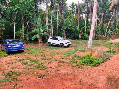 Kuttickattil Gardens With Kitchen