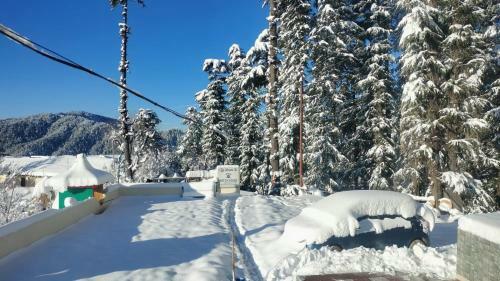 Hotel Hari Om Paradise