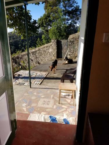 Apartamento Peaceful Garden House