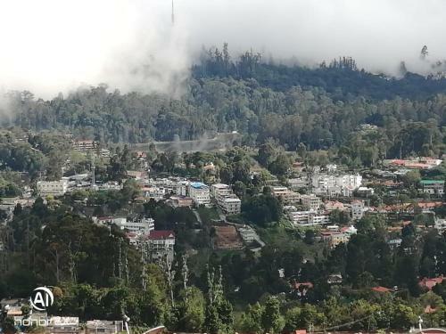 Misty Mountain