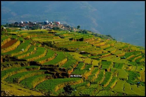 Agroturismo Adhiti Farm Stay