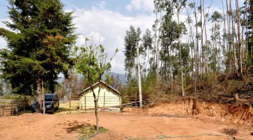 Agroturismo Adhiti Farm Stay