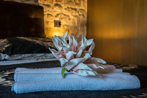 Apartamentos Oli Mare