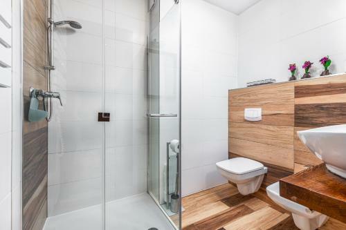 Apartamento Comfort Studio Mierzyn