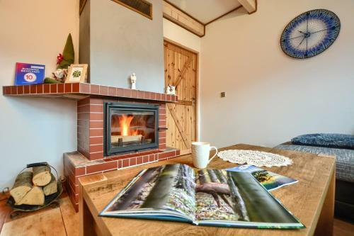 Dwernik Bukowina Bieszczady