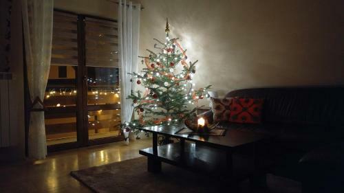 Apartament Sokola Ska?a