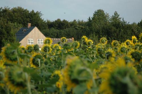 Agroturismo Chata Na Zielonym Wzg�rzu