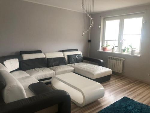 Apartament E?k