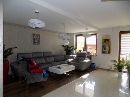 Business Apartment Exclusive E?k