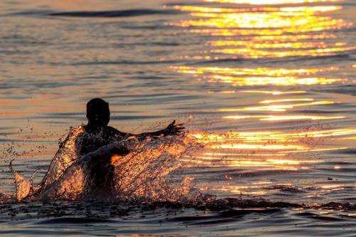Wakacyjna Wioska Summerland