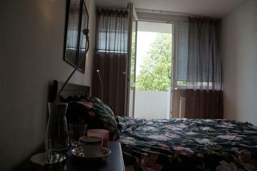 Apartament Gliwice Centrum Dunikowskiego