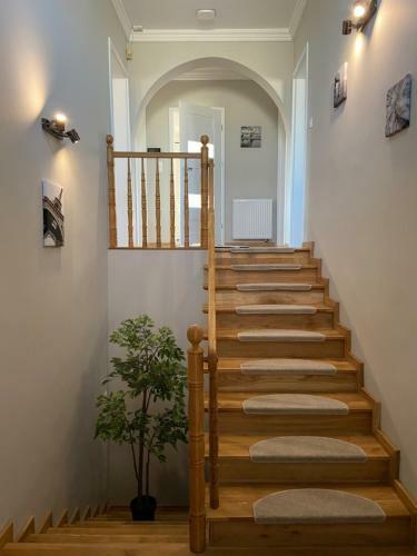 Apartamenty Starowiejska