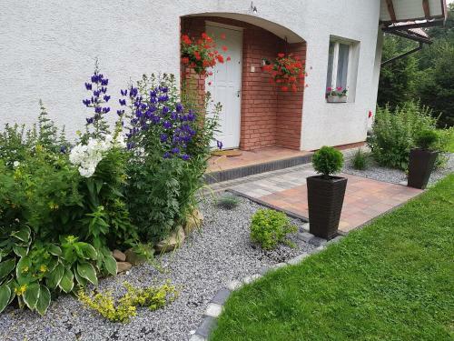 Wierzbowa Dolina
