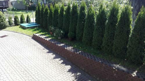 Lux Apartament