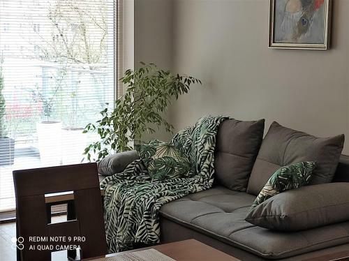 Mazurska Dama Luxury Apartament