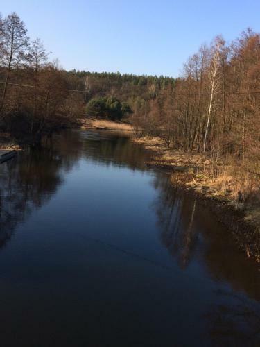 Dom Bory Tucholskie