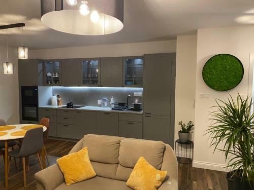 Apartament Moniuszki