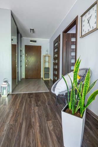 Apartament Wiczli?ski Ogr�d