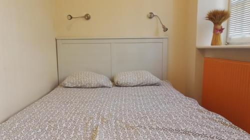 Apartament Ducha 1