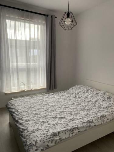Apartament Bastion Wa?owa