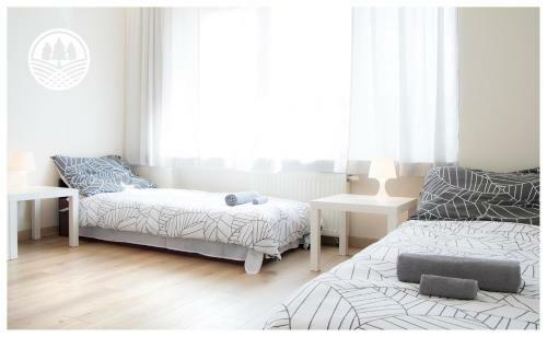 Albergue G�rzysta