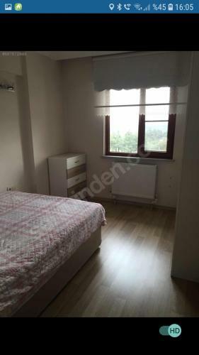 Forest View Friendly Family Apartment