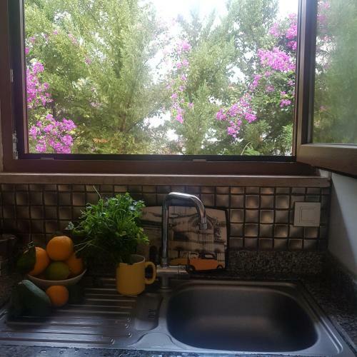 Apartamento Little Paradise
