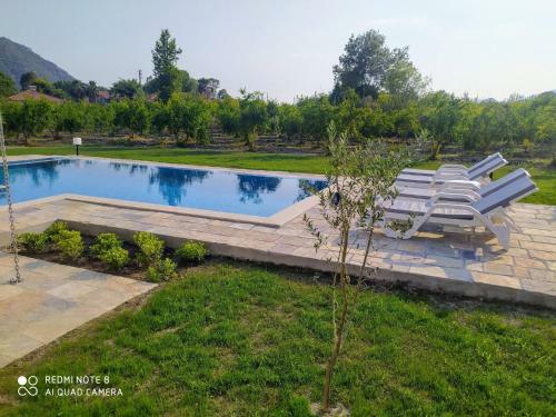 Villa In A Pomagranate Orchard