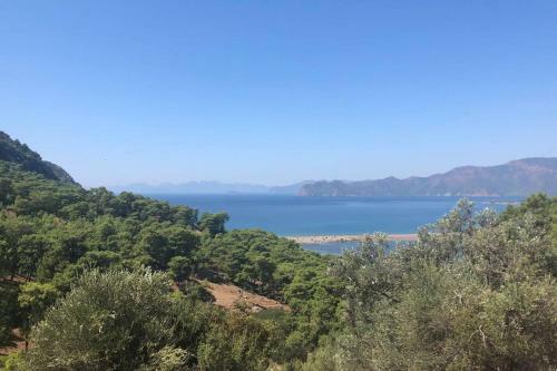 Villa Limon Dalyan